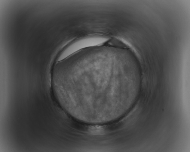 X0000088481317200706191359