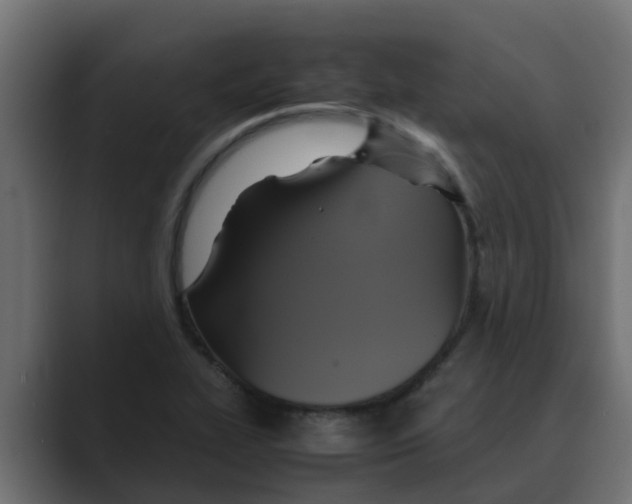 X0000088481319200706191359