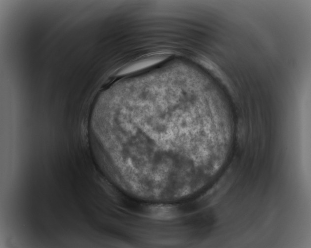 X0000088481321200706191359