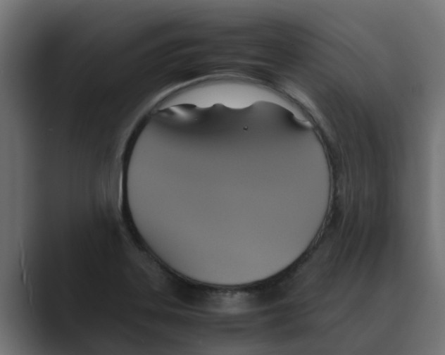 X0000088481323200706191359