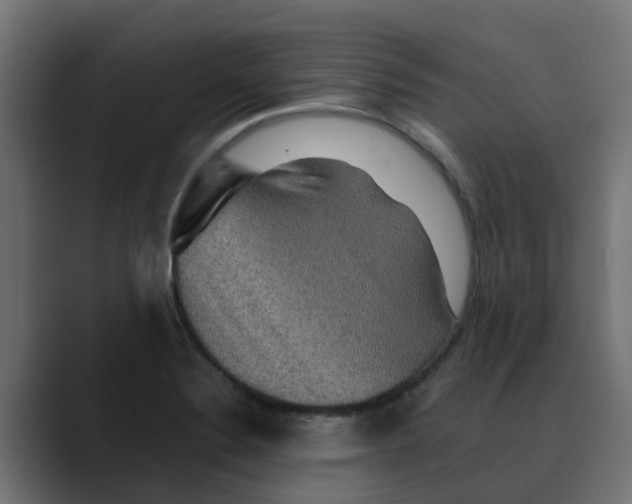 X0000088481324200706191359