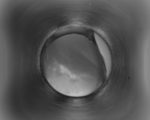 X0000088481326200706191359