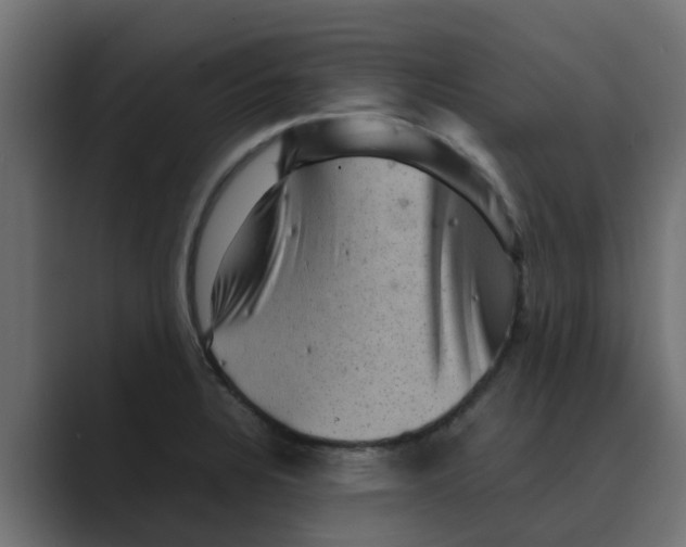 X0000088481328200706191400