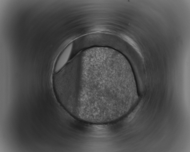 X0000088481330200706191400