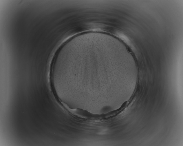 X0000088481331200706191400