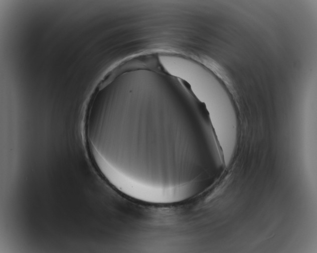 X0000088481334200706191400