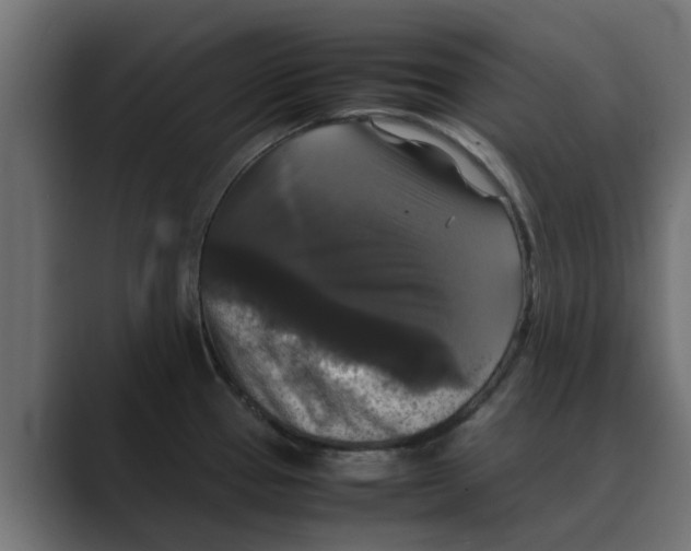 X0000088481337200706191400