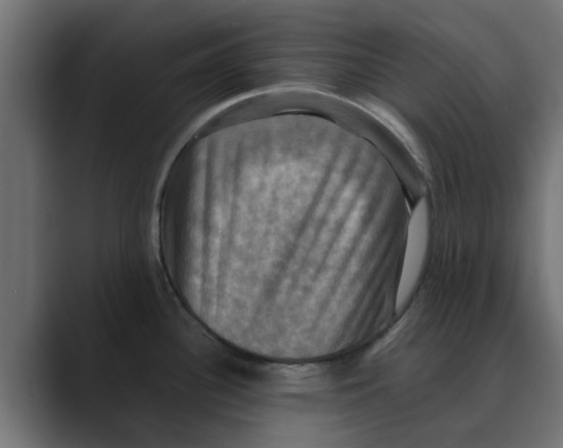 X0000088481340200706191400