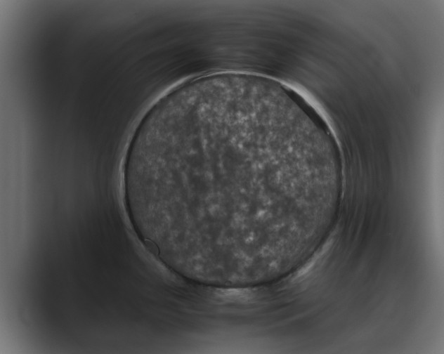 X0000088481341200706191400