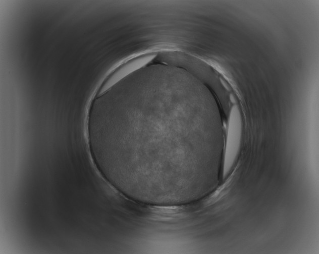 X0000088481342200706191400