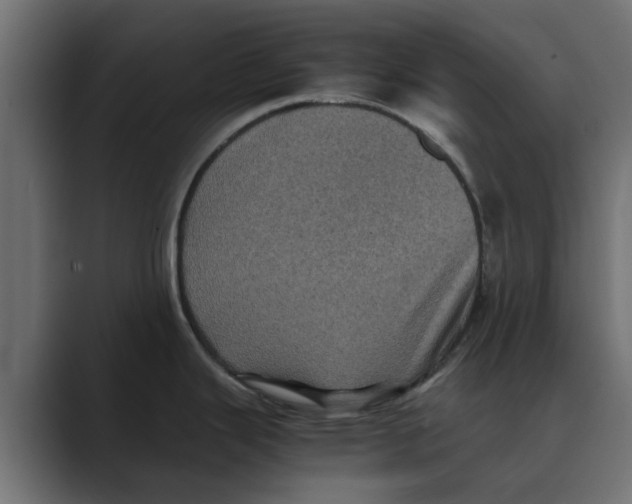 X0000088481343200706191400