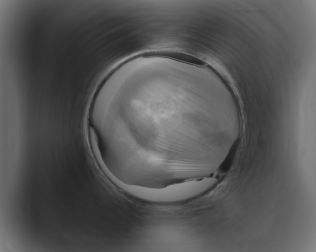 X0000088481344200706191400