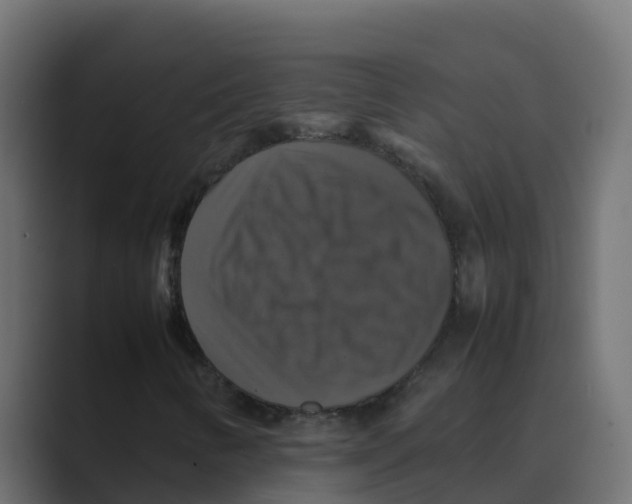 X0000088481346200706191359