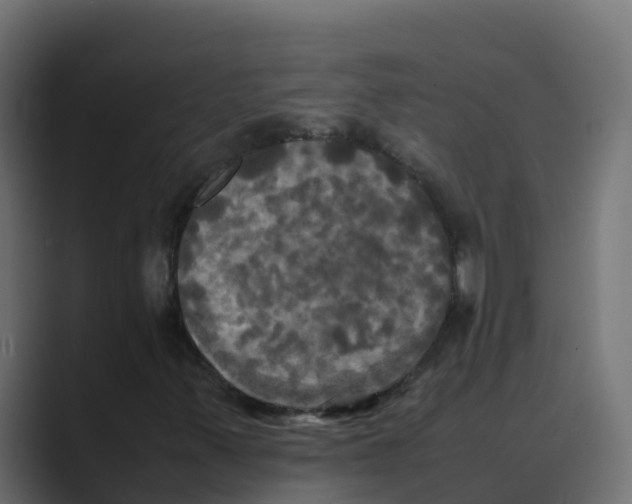 X0000088481347200706191359