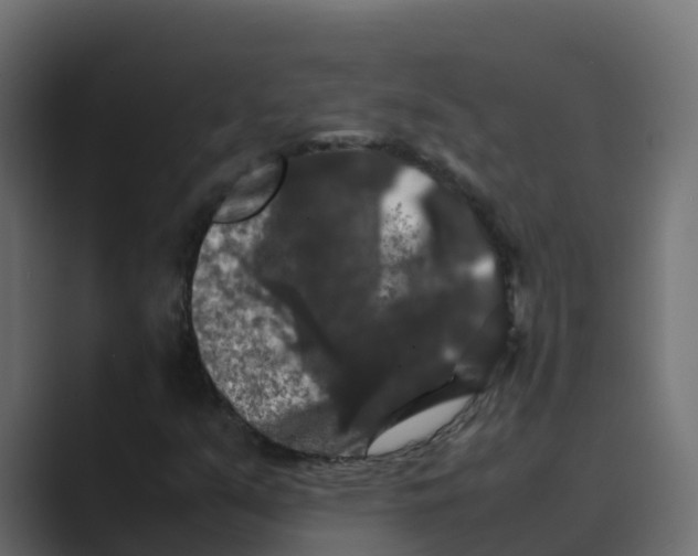 X0000088481351200706191359