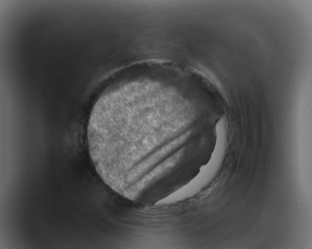 X0000088481352200706191359