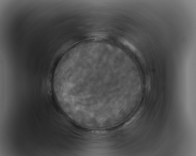 X0000088481354200706191359