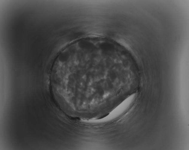 X0000088481355200706191359