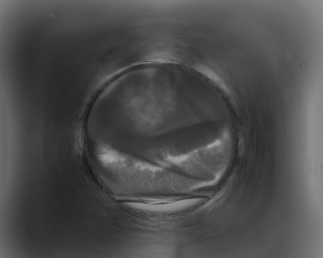 X0000088481358200706191359