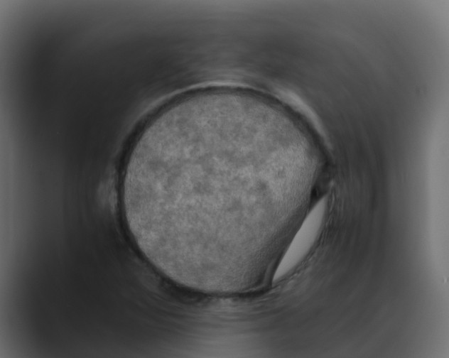 X0000088481360200706191359