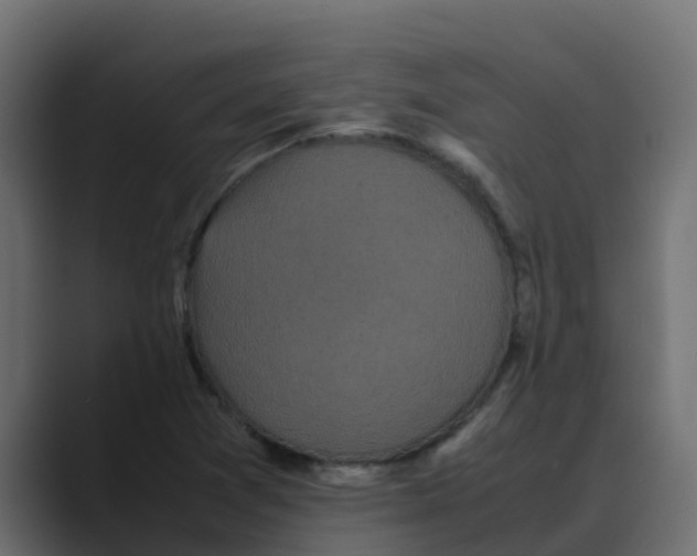 X0000088481361200706191359