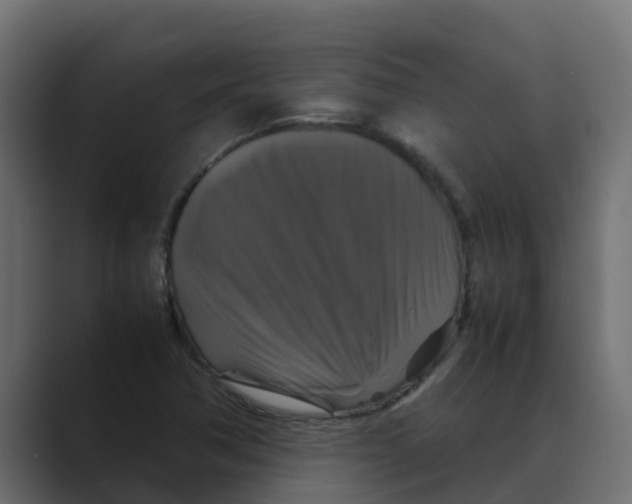 X0000088481362200706191359