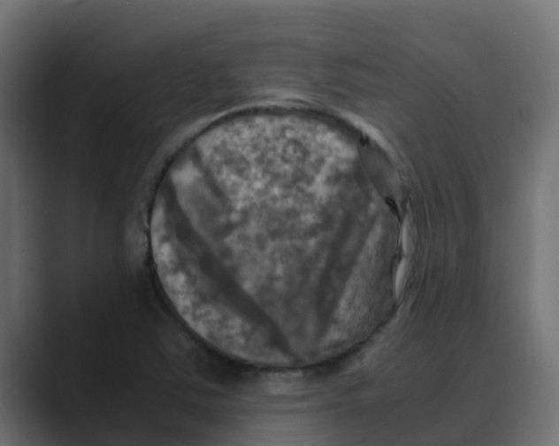 X0000088481363200706191359