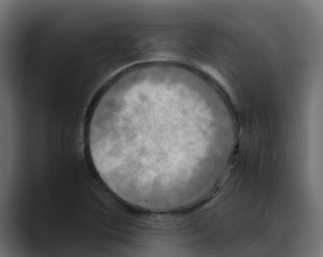 X0000088481364200706191359