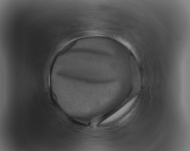 X0000088481365200706191359