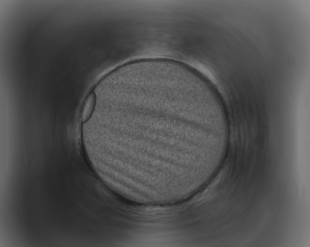 X0000088481366200706191359