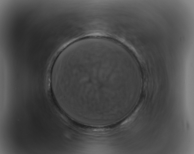 X0000088481367200706191359