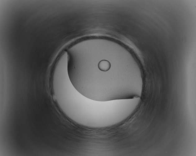 X0000088481368200706191359