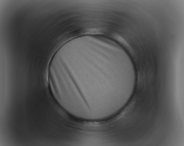 X0000088481370200706191359