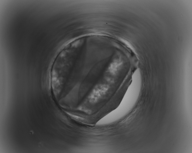 X0000088481371200706191359