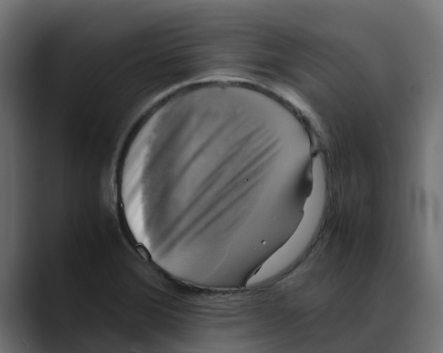 X0000088481372200706191359