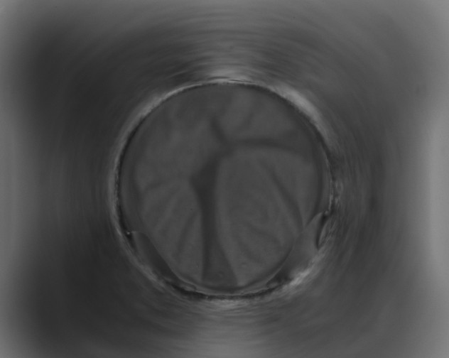 X0000088481373200706191359