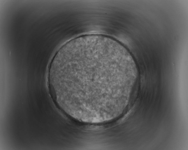 X0000088481374200706191359