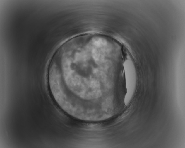 X0000088481375200706191359