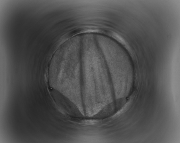 X0000088481377200706191359