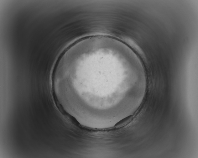 X0000088481380200706191359