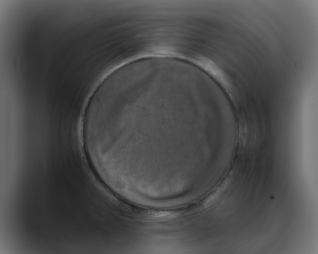 X0000088481382200706191359