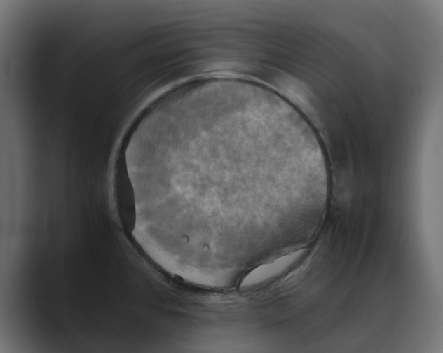 X0000088481384200706191359