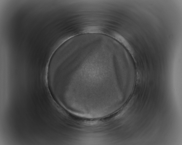 X0000088481386200706191359