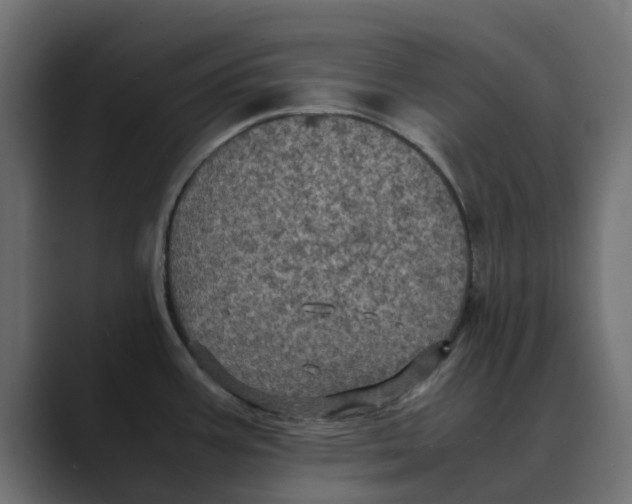 X0000088481387200706191359