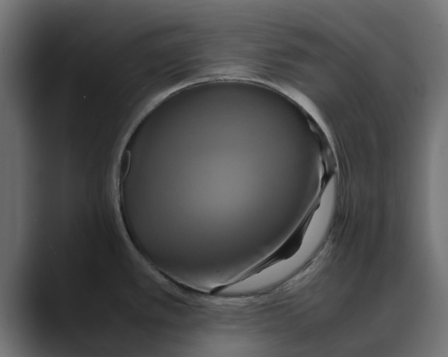 X0000088481389200706191359