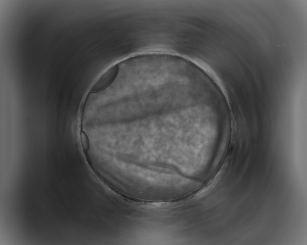 X0000088481390200706191359