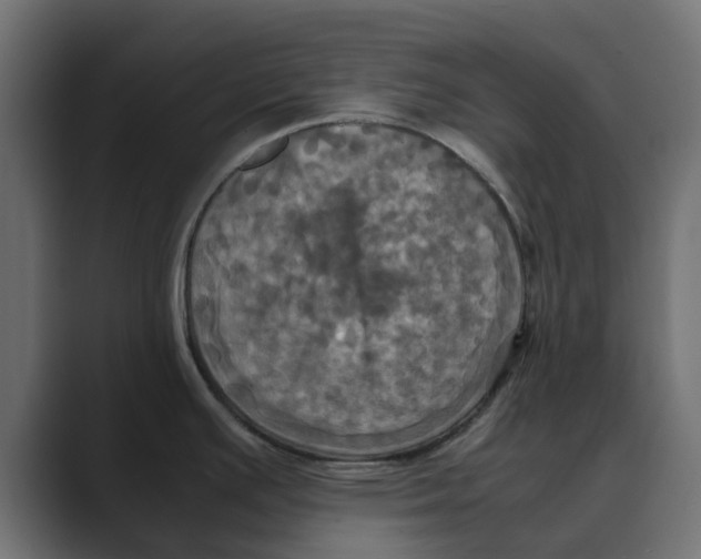 X0000088481391200706191359