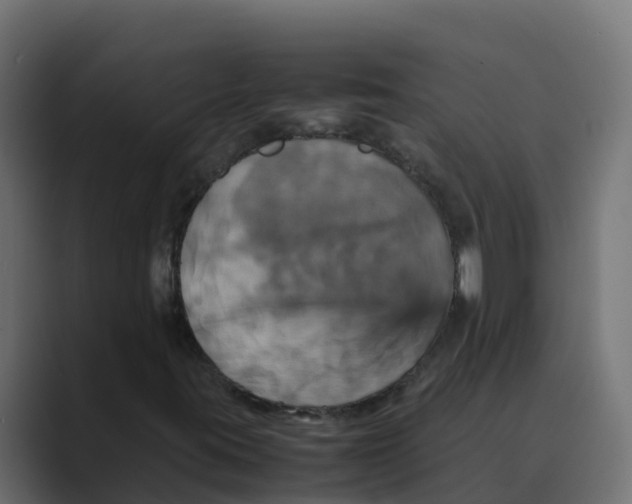 X0000088481395200706191358