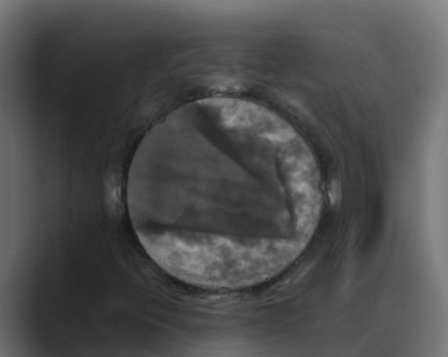 X0000088481396200706191358