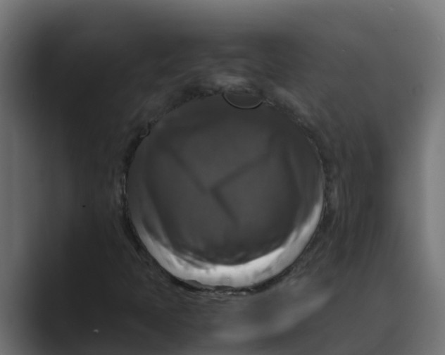 X0000088481397200706191358